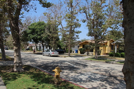 Enlarge photo 41