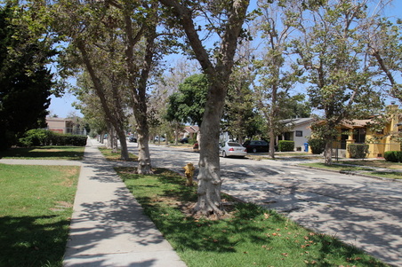 Enlarge photo 44