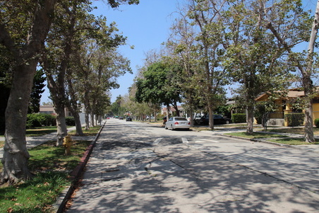 Enlarge photo 46