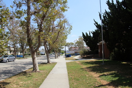 Enlarge photo 47