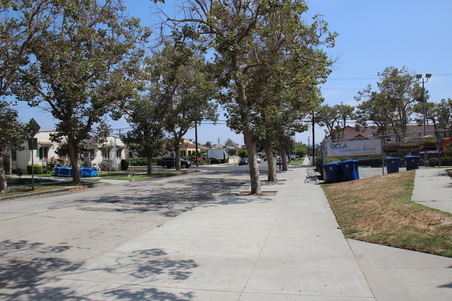 Enlarge photo 49