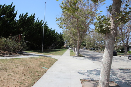 Enlarge photo 51
