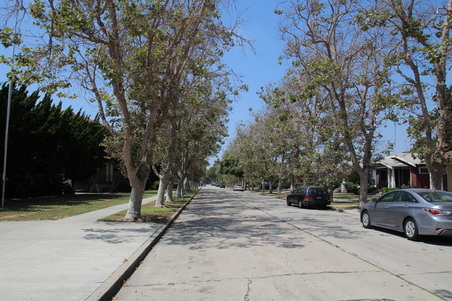 Enlarge photo 53