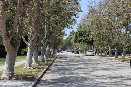 Enlarge photo 54