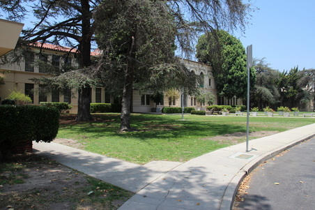Enlarge photo 51