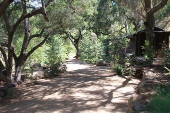 Enlarge photo 2