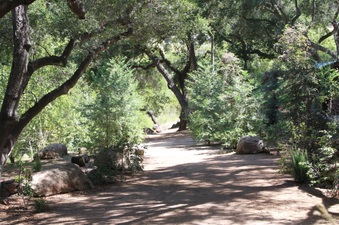 Canyon Ranch-Main