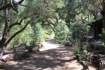 Enlarge photo 3
