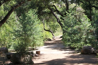 Enlarge photo 4