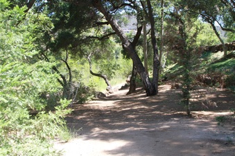 Enlarge photo 5