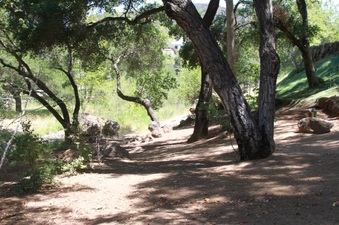 Enlarge photo 9