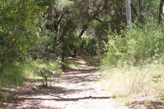 Enlarge photo 10