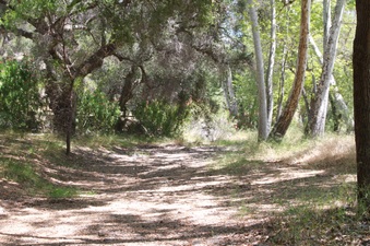 Enlarge photo 11