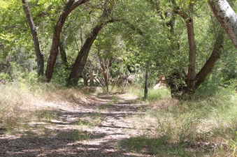 Enlarge photo 12