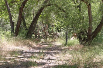Enlarge photo 14