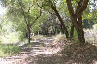 Enlarge photo 13