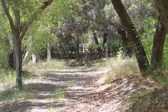 Enlarge photo 15