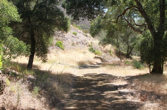 Canyon Ranch-West
