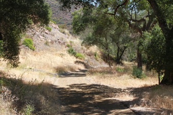 Enlarge photo 2