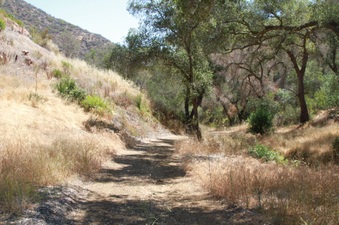 Enlarge photo 4
