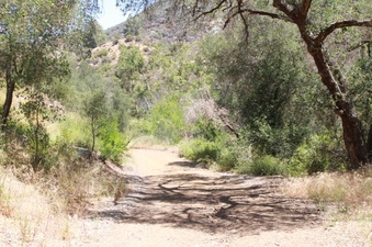 Enlarge photo 8