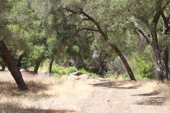 Enlarge photo 10
