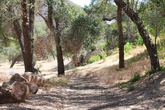 Enlarge photo 12