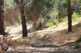 Enlarge photo 14