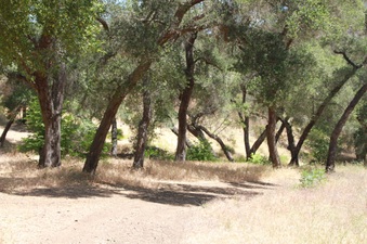 Enlarge photo 13