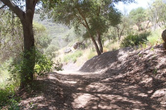 Enlarge photo 16
