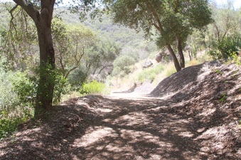 Enlarge photo 17