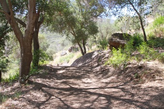 Enlarge photo 18