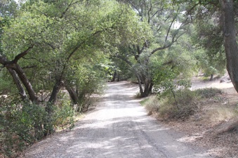 Disney Ranch-Insert Rd