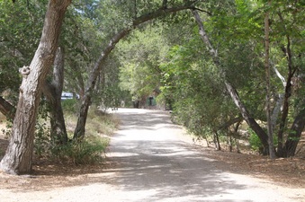 Enlarge photo 6