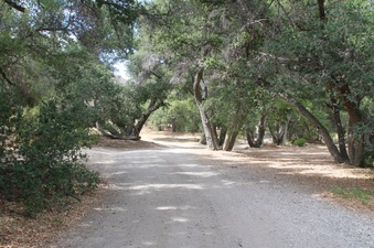 Enlarge photo 8