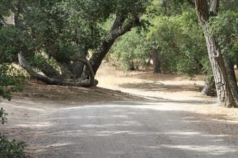 Enlarge photo 9