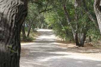 Enlarge photo 12