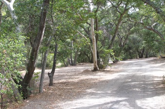 Enlarge photo 13