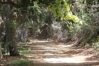 Enlarge photo 4