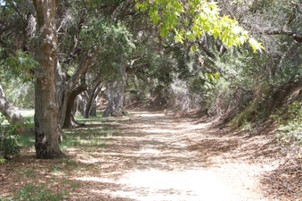 Enlarge photo 5