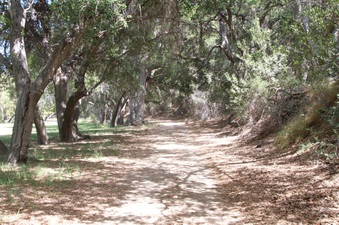 Enlarge photo 6