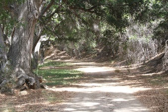 Enlarge photo 10