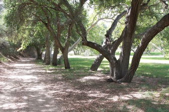 Enlarge photo 12