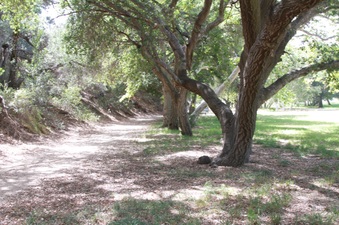Enlarge photo 13