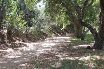 Enlarge photo 14