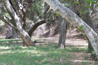 Enlarge photo 16