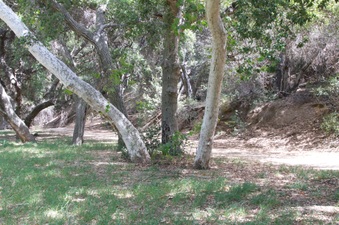 Enlarge photo 15