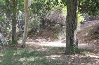 Enlarge photo 17