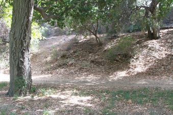 Enlarge photo 18