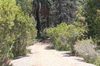 Enlarge photo 31